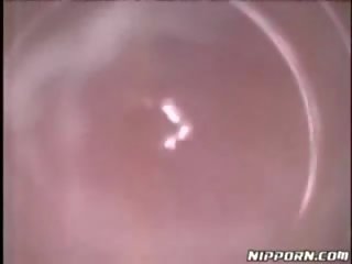 رائع الحمار اختراق