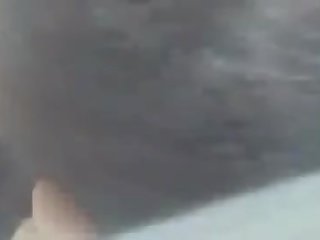 Araabia teismeliseiga