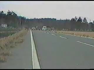 Wijnoogst